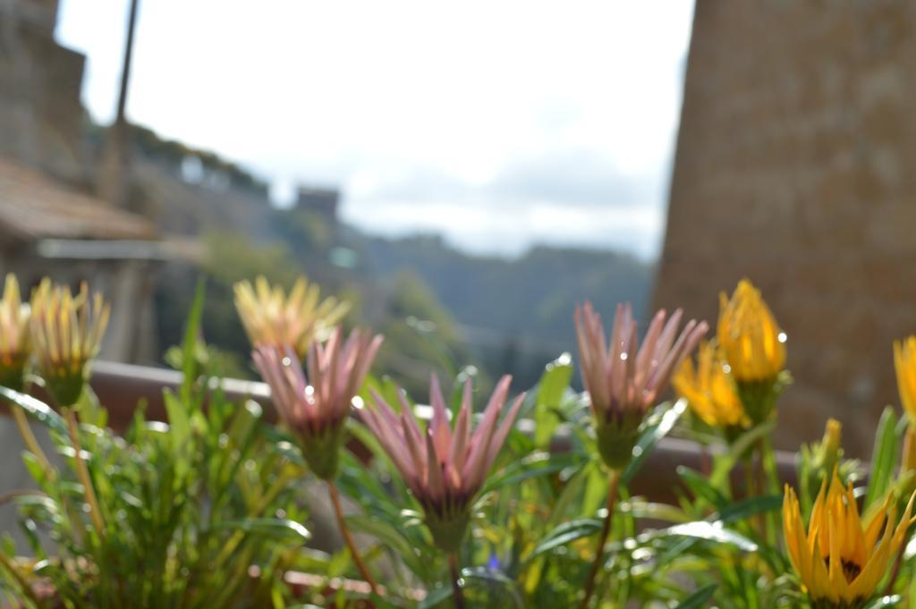 Casa Dei Lavatoi Pitigliano Apartamento Exterior foto